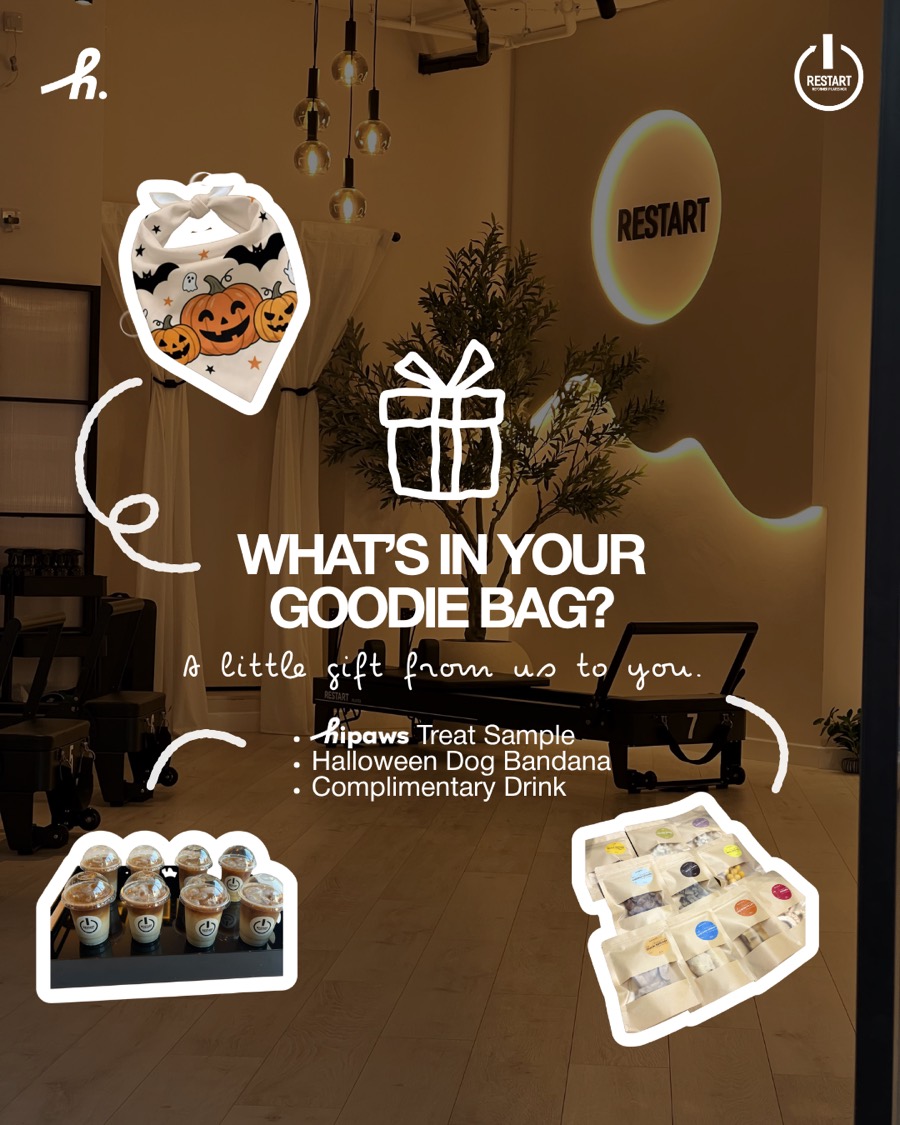 What's in your goodie bag — Hipaws treat sample, Halloween dog bandana, complimentary drink